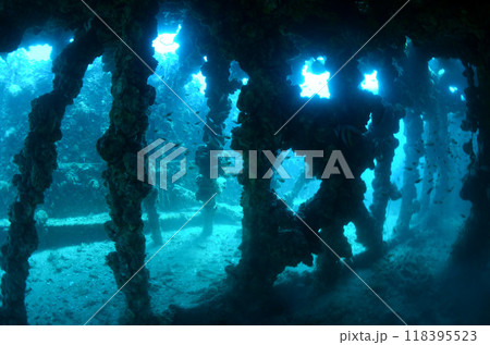 沈船　タイ・シミラン.6 118395523