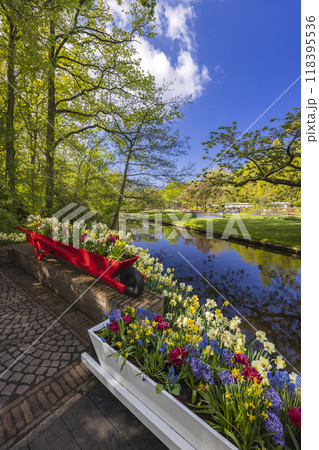 Keukenhof flower garden - largest tulip park in world, Lisse, Netherlands Keukenhof flower garden - largest tulip park in world, Lisse, Netherlands 118395536