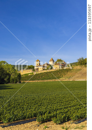 Chateau de Pierreclos castle, Saone-et-Loire departement, Burgundy, France Chateau de Pierreclos castle, Saone-et-Loire departement, Burgundy, France 118395697