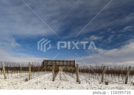 Winter landscape near Popice, Southern Moravia, Czech Republic Winter landscape near Popice, Southern Moravia, Czech Republic 118395710