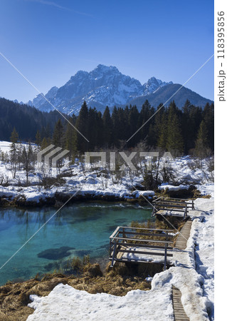 winter landscape in Zelenci, Slovenia winter landscape in Zelenci, Slovenia 118395856