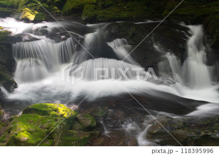 夏の赤目四十八滝 夏の赤目四十八滝 118395996