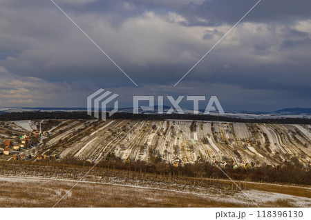 Winter vineyard near Mutenice, Southern Moravia, Czech Republic Winter vineyard near Mutenice, Southern Moravia, Czech Republic 118396130