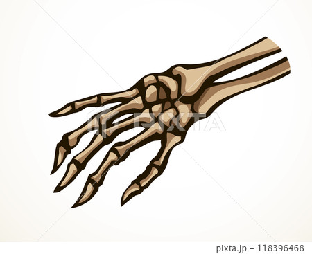 Vector drawing. Bones of the hand 118396468