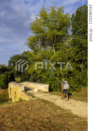 Romanesque bridge of Artigue and river Osse near Larressingle on route to Santiago de Compostela, UNESCO World Heritage Site, departement Gers, France 118396583