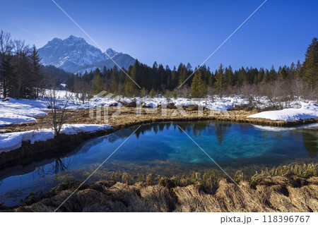 winter landscape in Zelenci, Slovenia winter landscape in Zelenci, Slovenia 118396767