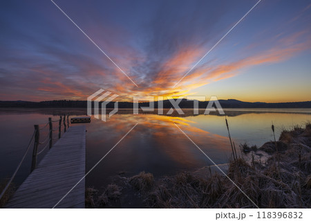 nature reserve Olsina, Sumava National Park, Czech Republic 118396832
