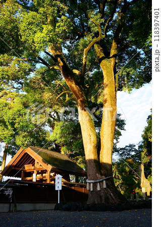日光例幣使街道玉村八幡宮 118397401