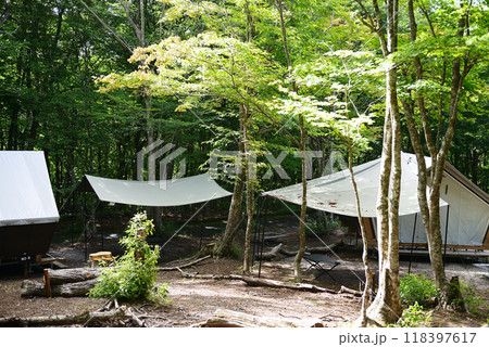 広島県 県立もみのき森林公園 キャンプ場「TENT★CABIN」 広島県 県立もみのき森林公園 キャンプ場「TENT★CABIN」 118397617