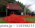 結縁寺の赤い屋根の門と彼岸花  118398233