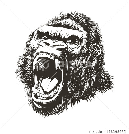 Roaring Gorilla Head Monochrome Grunge Vector Illustration 118398625