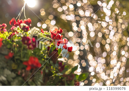 イルミネーションとキラキラした玉ボケ イルミネーションとキラキラした玉ボケ 118399076