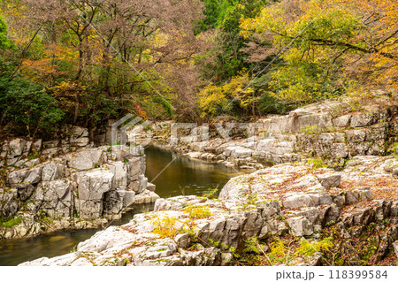 奥津渓の秋　琴淵15　岡山県苫田郡鏡野町 118399584