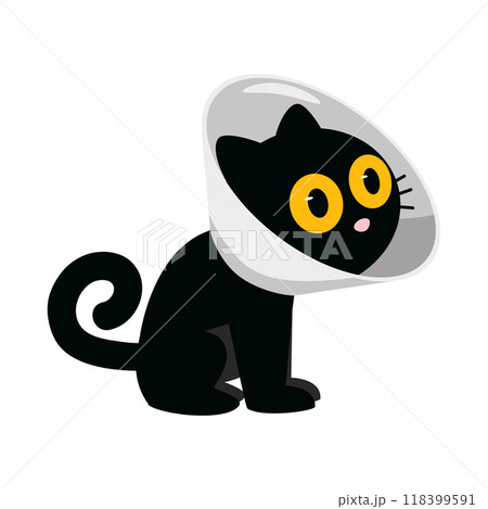 Cute Cat Wearing Protective Collar 118399591