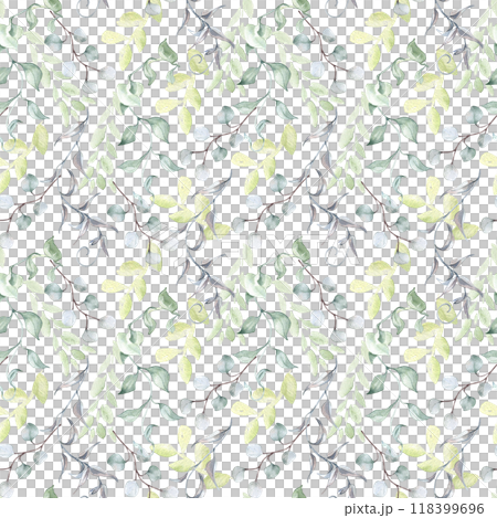 Twigs eucalyptus, leaves in sage green watercolor seamless pattern isolated. Foliage background with repeating plants in pastel tones hand drawn for design textile. Delicate greenery texture. 118399696