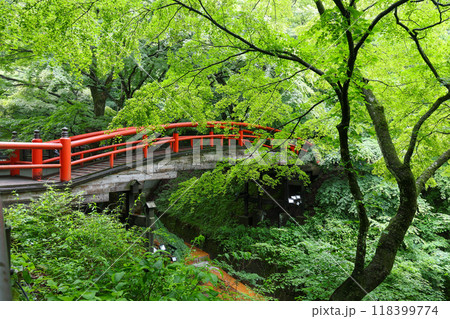 群馬県 渋川市 伊香保温泉 河鹿橋 群馬県 渋川市 伊香保温泉 河鹿橋 118399774