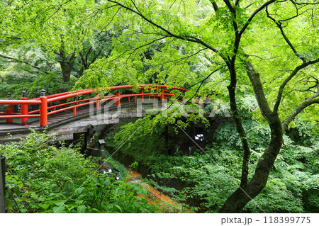 群馬県 渋川市 伊香保温泉 河鹿橋 群馬県 渋川市 伊香保温泉 河鹿橋 118399775