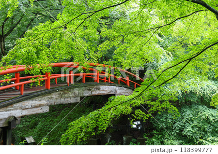 群馬県　渋川市　伊香保温泉　河鹿橋 118399777