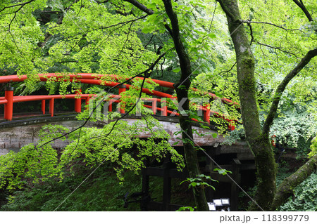 群馬県 渋川市 伊香保温泉 河鹿橋 群馬県 渋川市 伊香保温泉 河鹿橋 118399779