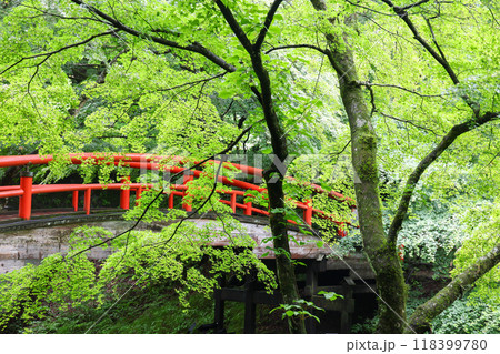 群馬県 渋川市 伊香保温泉 河鹿橋 群馬県 渋川市 伊香保温泉 河鹿橋 118399780