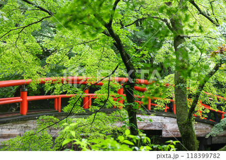 群馬県 渋川市 伊香保温泉 河鹿橋 群馬県 渋川市 伊香保温泉 河鹿橋 118399782