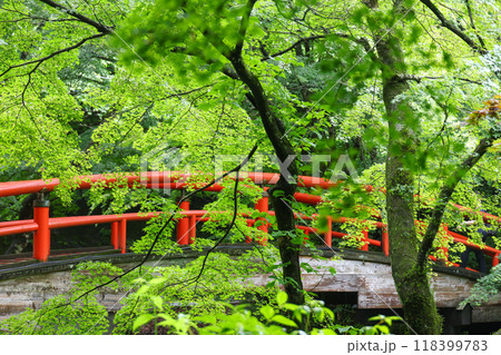 群馬県 渋川市 伊香保温泉 河鹿橋 群馬県 渋川市 伊香保温泉 河鹿橋 118399783