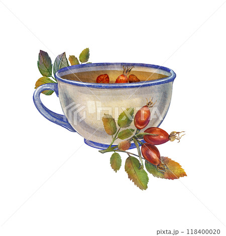 Watercolor tea cup with rosehip isolated on a white background. An illustration of a cozy tea party. A botanical composition with rosehip fruits. It is suitable leaflet, postcard, autumn atmosphere. 118400020
