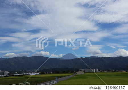 自然の美：富士山と稲畑 118400187