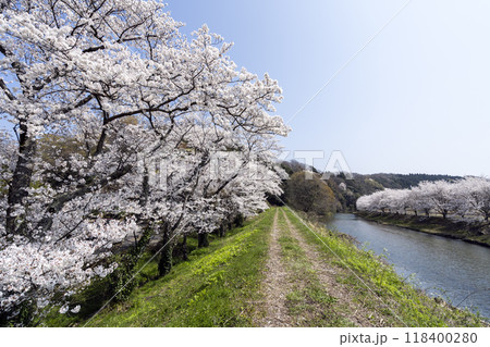 春爛漫の里山風景 118400280