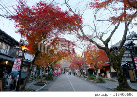 岐阜県揖斐川町_谷汲山華厳寺門前参道紅葉3_2023年11月 岐阜県揖斐川町_谷汲山華厳寺門前参道紅葉3_2023年11月 118400696