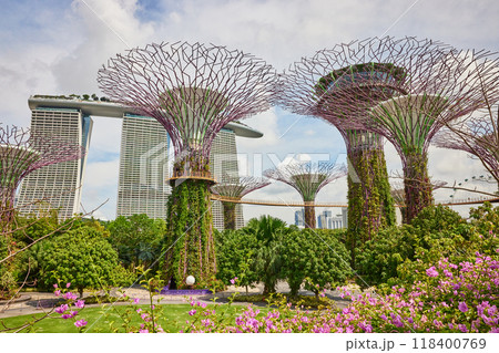 観光客がいないガーデンズバイザベイ 118400769