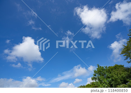 青空と雲と木立 118400850