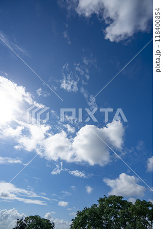 青空と雲と木立 青空と雲と木立 118400854