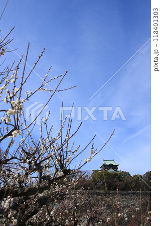 満開の大阪城公園梅林の白梅の向こうに見える大阪城天守閣 満開の大阪城公園梅林の白梅の向こうに見える大阪城天守閣 118401303