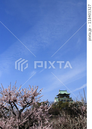 満開の大阪城公園梅林の梅の花の向こうに見える大阪城天守閣 満開の大阪城公園梅林の梅の花の向こうに見える大阪城天守閣 118401327