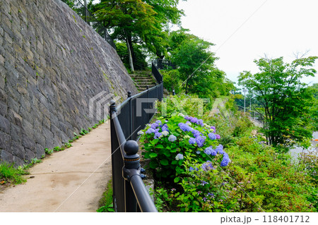 群馬県　伊香保温泉　石段アルウィン公園 118401712