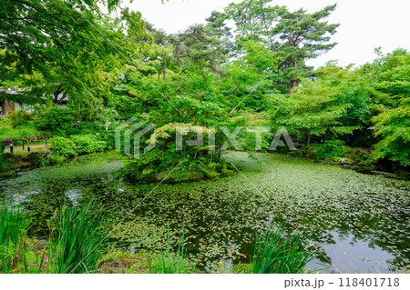 群馬県 伊香保温泉 群馬県 伊香保温泉 118401718