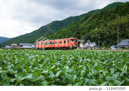 枝豆畑のキハ 118403095