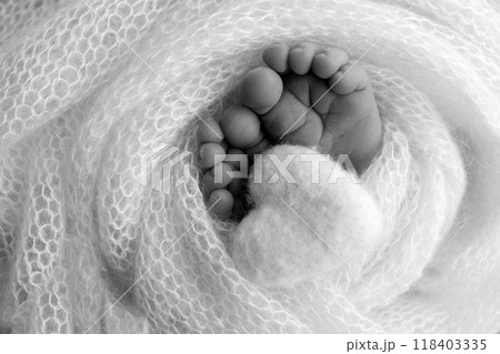 The tiny foot of a newborn baby. Soft feet of a new born in a wool blanket. Close up of toes, heels and feet of a newborn. Knitted heart in the legs of a baby Studio macro photography. Black and white 118403335