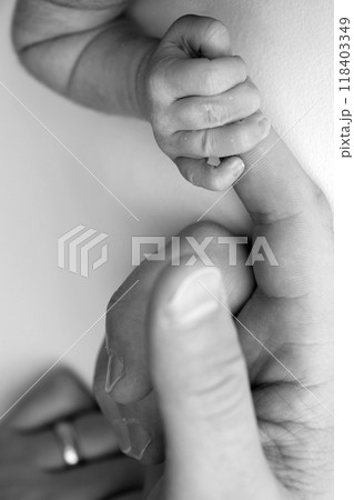 The newborn baby has a firm grip on the parent's finger after birth. Close-up little hand of child and palm of mother and father. Parenting, childcare and healthcare concept. Black and white photo.  118403349