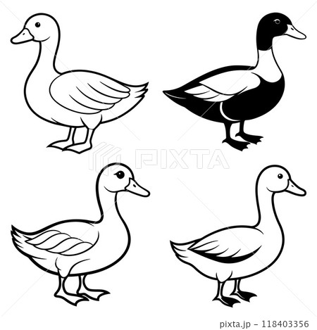 3d rendering of dynamic duck silhouette line art 118403356