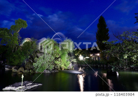 京都市動物園噴水池ライトアップ 118403984