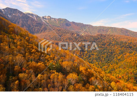 燃える秋、錦秋の北海道、十月、層雲峡の紅葉、黒岳ロープウェイ、ロープウェーで登る黒岳、赤黄色の紅葉 燃える秋、錦秋の北海道、十月、層雲峡の紅葉、黒岳ロープウェイ、ロープウェーで登る黒岳、赤黄色の紅葉 118404115