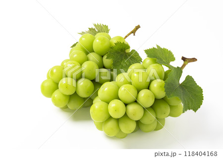 白バックのシャインマスカット 118404168