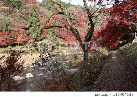 豊田市香嵐渓 香嵐渓紅葉狩り 紅葉 香嵐渓 もみじ 豊田市香嵐渓 香嵐渓紅葉狩り 紅葉 香嵐渓 もみじ 118404538