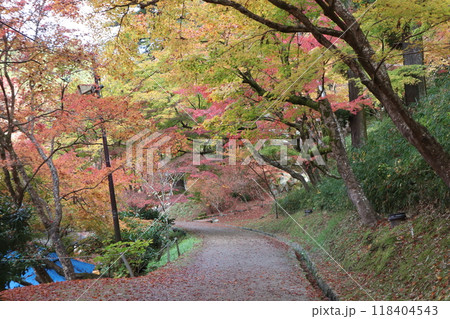豊田市香嵐渓 香嵐渓紅葉狩り 紅葉 香嵐渓 もみじ 豊田市香嵐渓 香嵐渓紅葉狩り 紅葉 香嵐渓 もみじ 118404543
