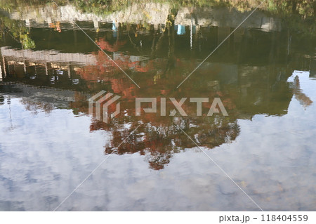 豊田市香嵐渓　香嵐渓紅葉狩り　紅葉　香嵐渓　もみじ　 118404559