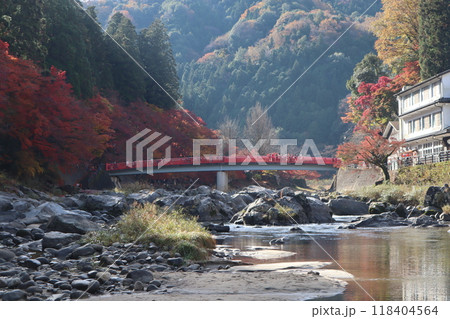 豊田市香嵐渓　香嵐渓紅葉狩り　紅葉　香嵐渓　もみじ　 118404564