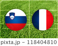 Slovenia vs France football match 118404810