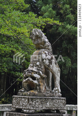 狛犬(阿形像)（倭文(しとり･しずり)神社／鳥取県東伯郡湯梨浜町大字宮内754） 118404823